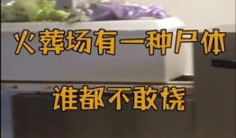 火葬场爆料员工视频大全