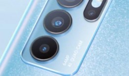 庄家欣爆料视频最新版下载,揭秘幕后真相，下载版全面解析